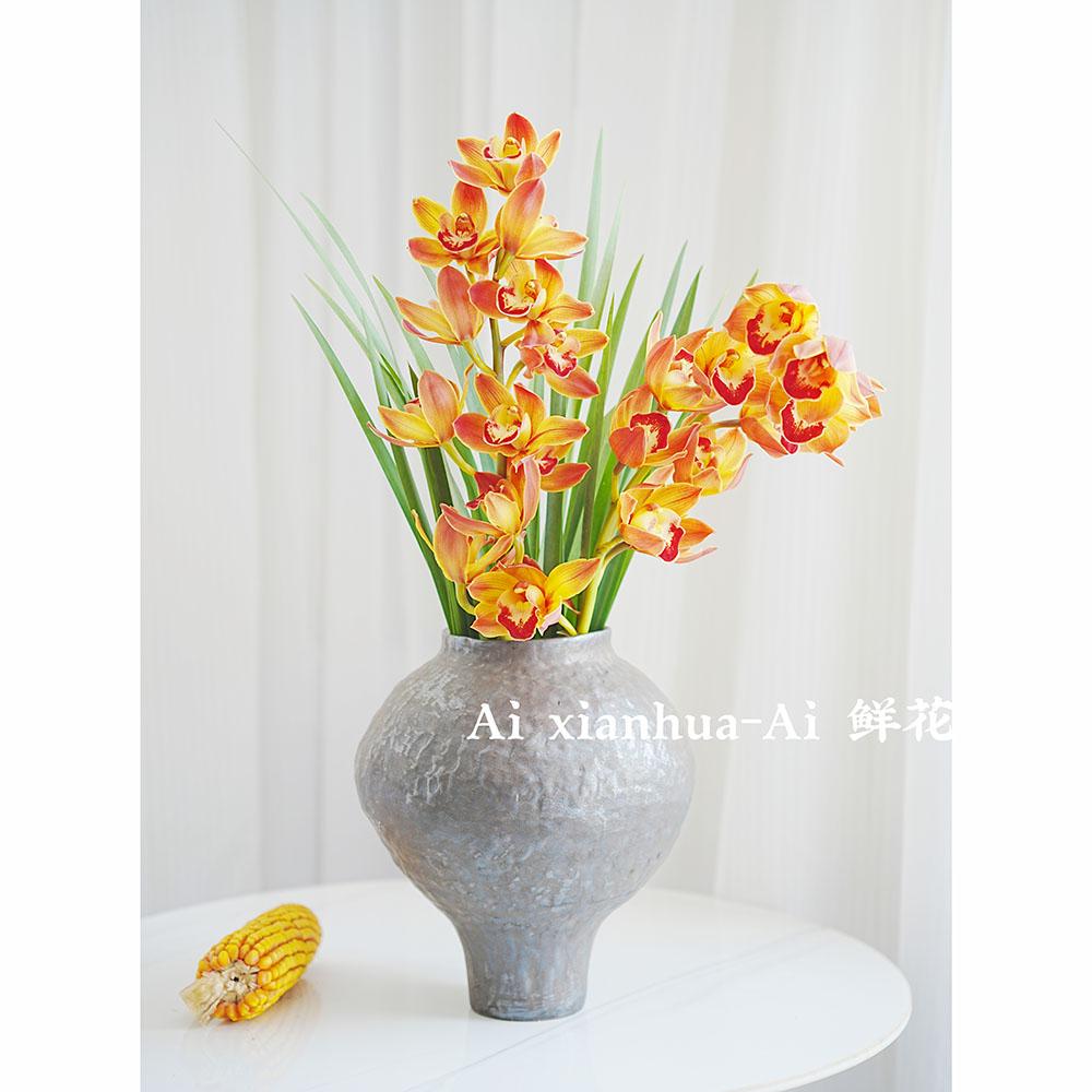 进口花橙色花火王炸大花蕙兰鲜花