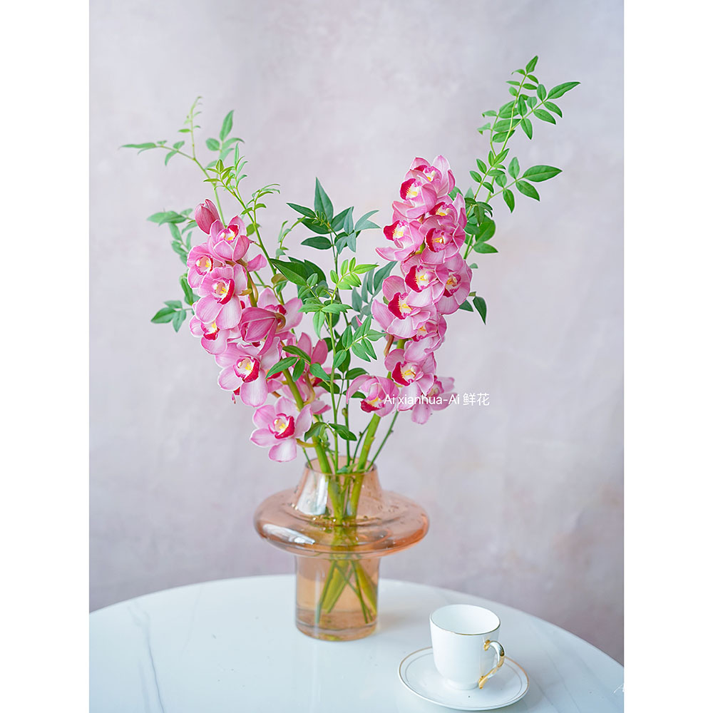 高级粉色苏菲大花蕙兰鲜花年宵花