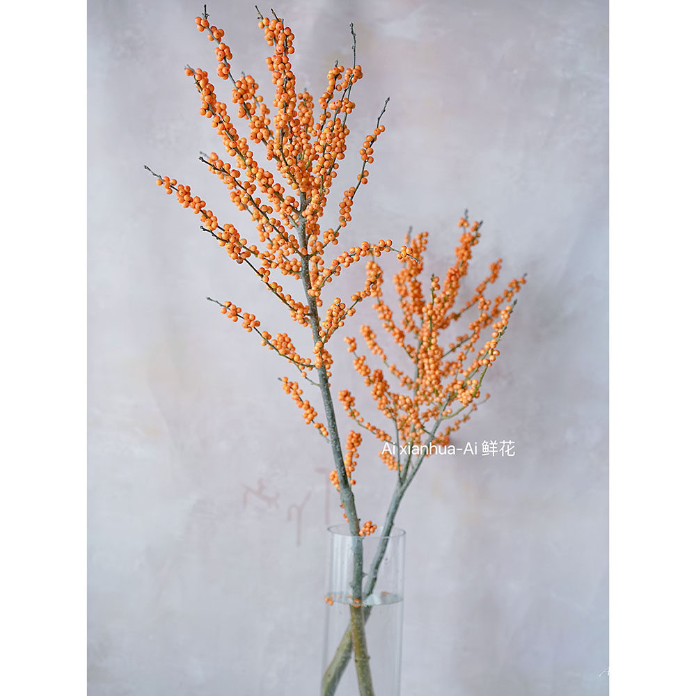 特级爱马仕橙色冬青鲜切枝家居插花水养节日送花花期超长年宵花,鲜花速递/花卉仿真/绿植园艺,花材,淘宝优惠券,粉丝福利购,淘宝优惠卷