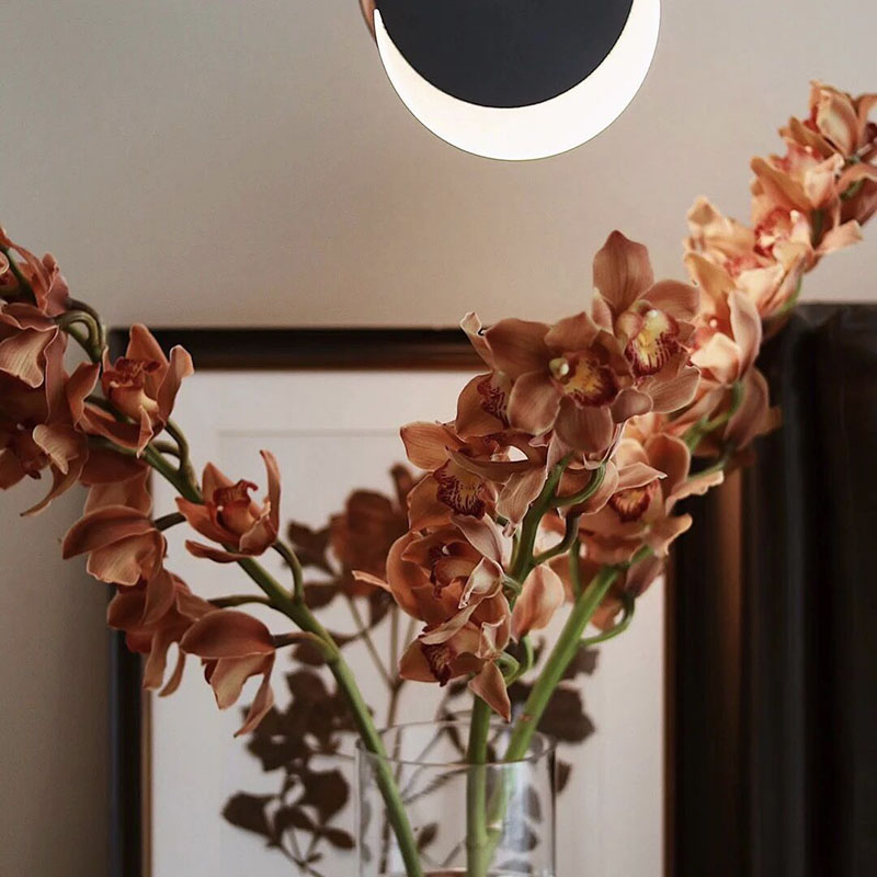 人间富贵花年宵花大花蕙兰鲜花