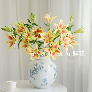 黄边红心的颜色皇冠亚百合鲜花家居水养插花云南直发送长辈花期长