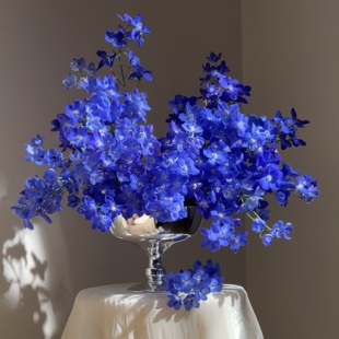 高级深邃感蓝紫色小飞燕鲜花家居插花水养女神节情人节百搭空运