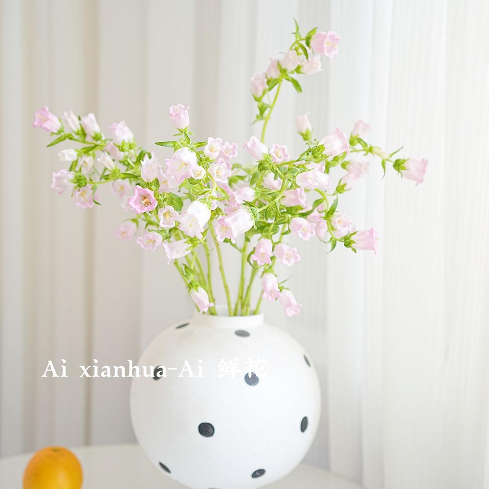 爆花机器高级感浅粉色风铃花鲜花