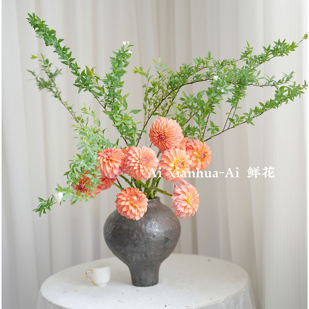 进口稀有橙色大丽花鲜花