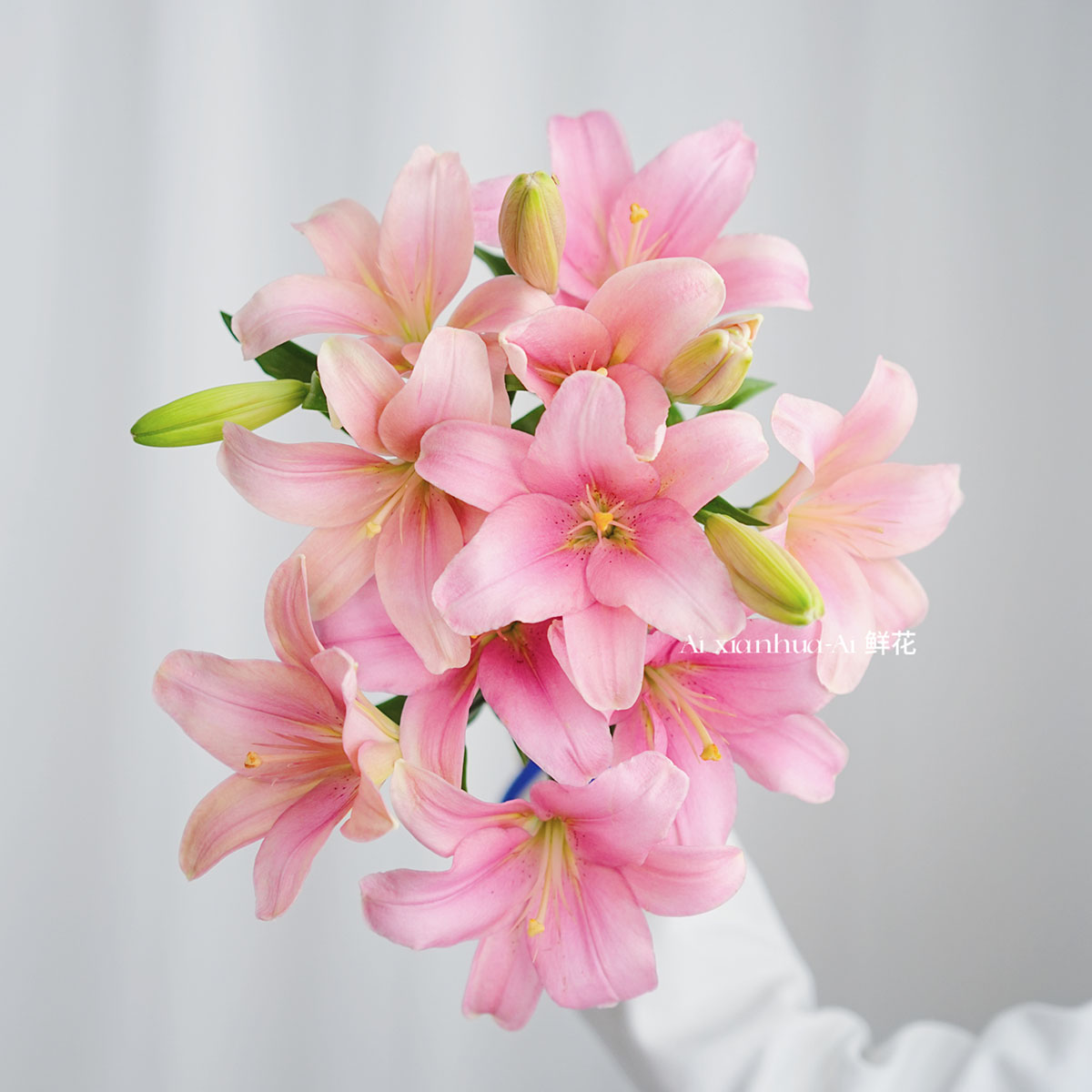 仙气浅粉色亚百合鲜花家居插花