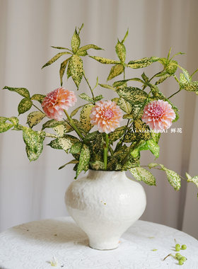 小众组合奶油桃子大丽花混搭查哈