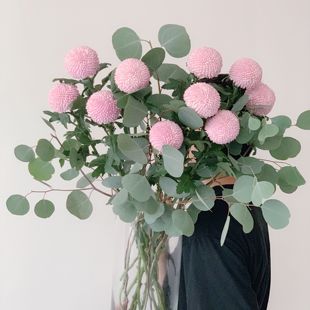 原创粉色乒乓菊鲜花搭配组合插花水养花期长宴会家居办公装 饰送花