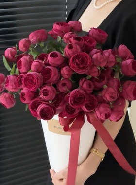 进口高级红色奥斯汀花型红蕾丝红珊瑚多头玫瑰高贵气质云南空运