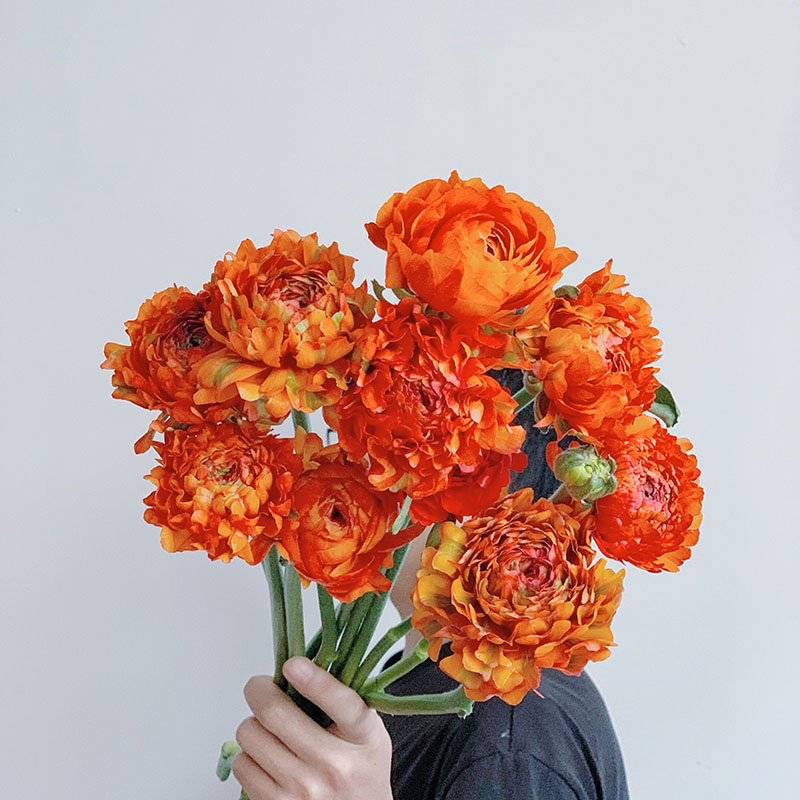 好运连连小橙红色锦鲤洋牡丹鲜花