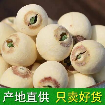 2025年新货大粒带芯白莲子干货500g特产湘潭湘莲子带心磨皮莲有芯