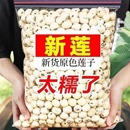 新货磨皮去芯白莲子干货500g湖南特产湘莲子无芯去心通芯无硫带芯