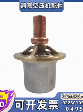 现货寿力空压机温控阀芯02250105-553热控阀恒温阀250028-762配件