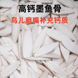 墨鱼骨鹦鹉专用玄凤虎皮牡丹鹦鹉磨牙棒补钙啃咬玩具用品零食大块