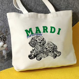 sweet纱荣子杂志日本附录赠送帆布包mardi帆布袋定制大容量棋盘