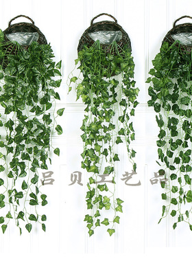 植物墙绿萝爬山虎藤条吊篮装饰花