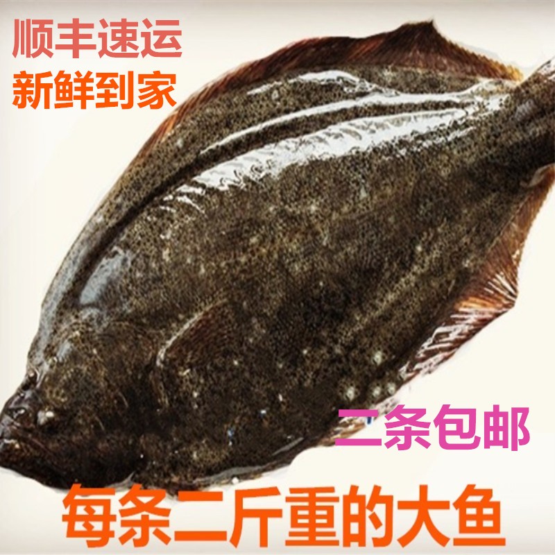 青岛野生深海鱼新鲜比目鱼鲜活海鲜碟鱼鸦片鱼1000g二条顺丰包邮|msdalam kategori daging perikanan/Buah-buahan segar dan sayur-sayuran/dimasak, makanan laut/produk akuatik/produk, Fish Seafood, menggelepar - dari Buy2taobao.com untuk memberikan perkhidmatan ejen Taobao profesional membeli