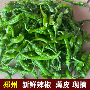 邳州新鲜辣椒徐州新沂薄皮本地尖椒朝天椒小米椒现摘