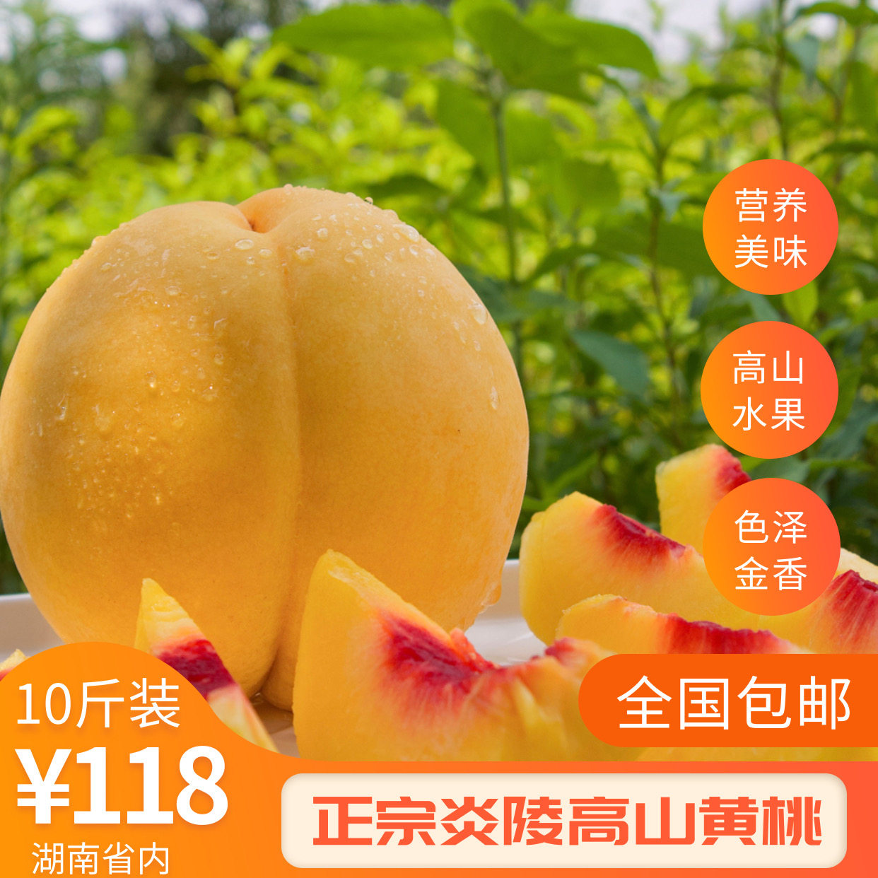 正宗湖南炎陵黄桃自家果园现摘现礼品盒