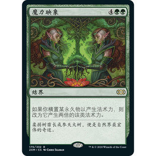 【学府卡牌】万智牌 魔力映象 中文 双星大师2 暗影荒原