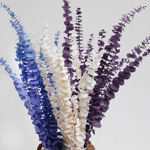 单支尤加利永生干花花束家居客厅摆设北欧风树叶装饰摆件天然真花