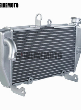 适用雅马哈YZF-R25/R3 15-16-17-18-19-21年 水箱散热器 水箱总成