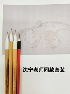 吴钩工笔画套装勾线笔白描染色白云高档套装沈宁老师定制笔