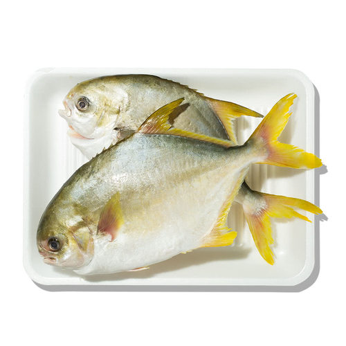 山姆 二去金鲳鱼700G 去鳃去内脏肉质细嫩急冻锁鲜 顺丰发货