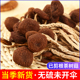 江西广昌茶树菇干货当季 特产 不开伞新鲜天然无硫以剪脚干菇500克