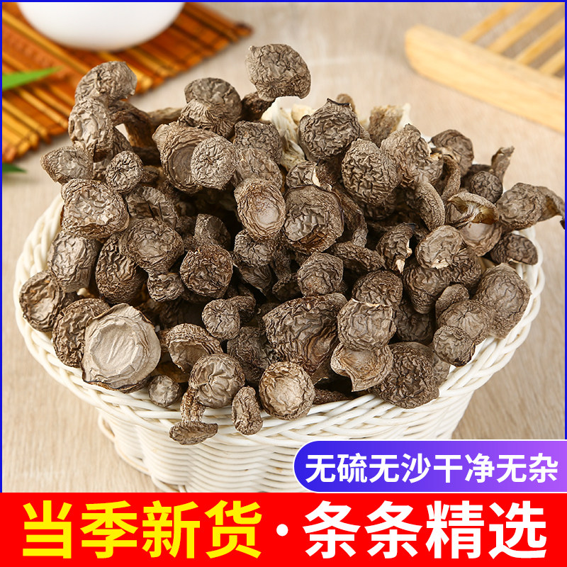 鹿茸菇干货精品新鲜当季煲汤