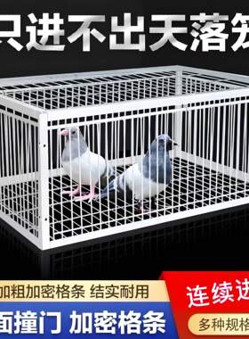 捕鸽神器室外天落笼全自动撞门笼收集抓收鸽防逃跑户外只进不出笼