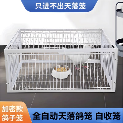 捕鸽神器只进不出鸟笼全自动