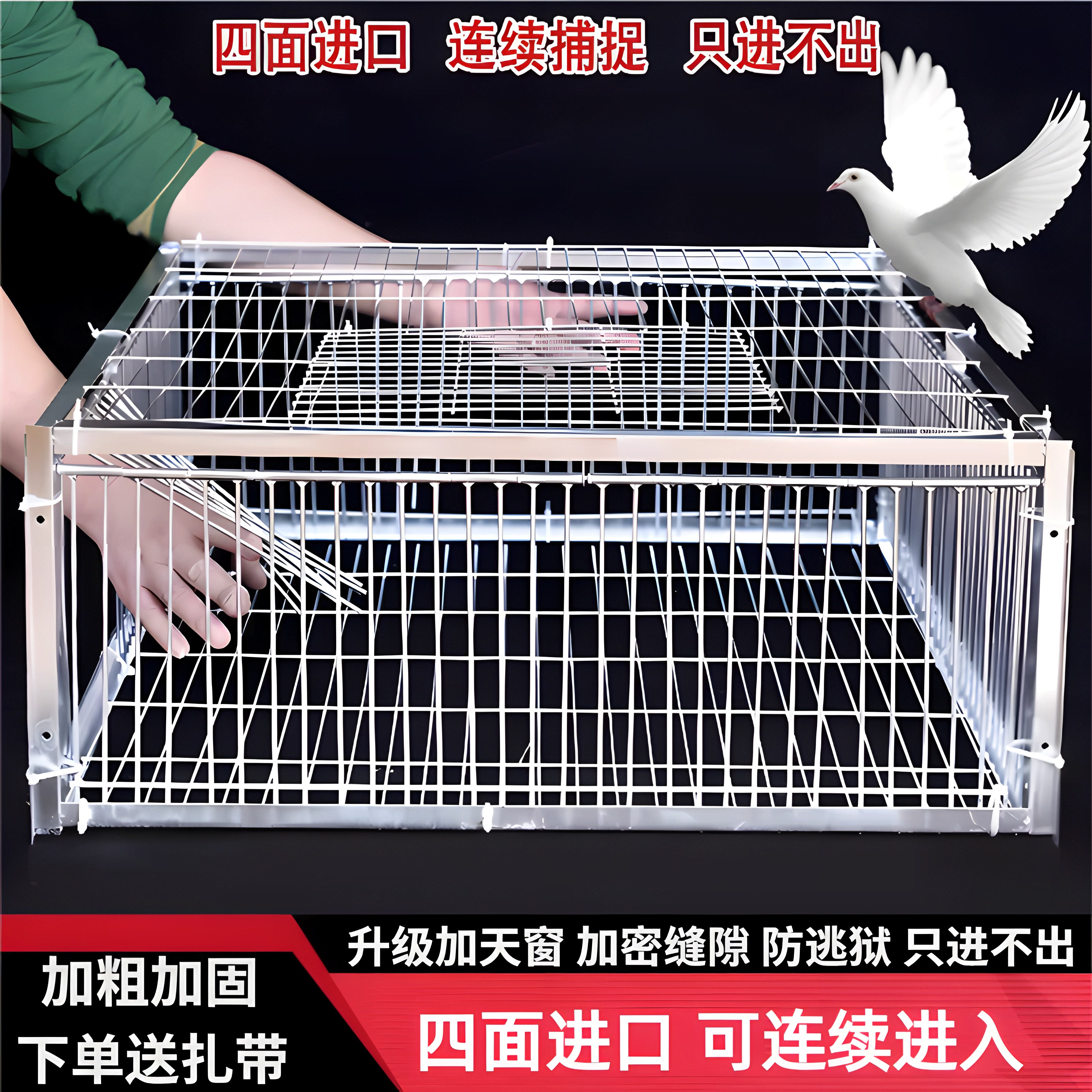 捕鸽神器天落笼鸽子笼加密鸽子图片
