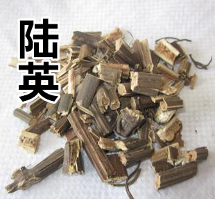 中药材 陆英 接骨草 臭草 蒴藿 七叶根 七叶麻 走马前 50克