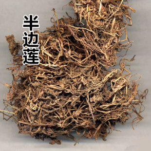 中药材 中草药 新货半边莲50克