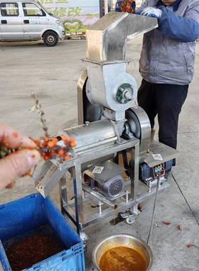 大型水果压榨脱汁机柠檬菠萝苹果商用果汁机工业番茄胡萝卜榨汁机
