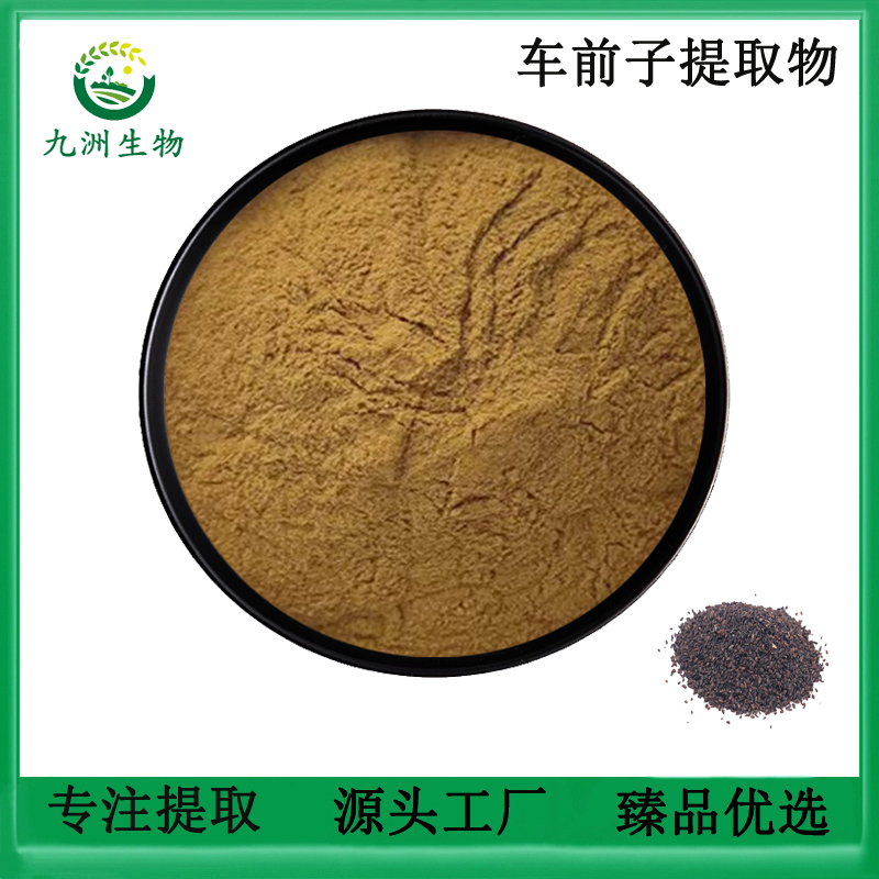 车前子提取物 植物原料提取浓缩精华30:1 水溶性养生调理现货供应