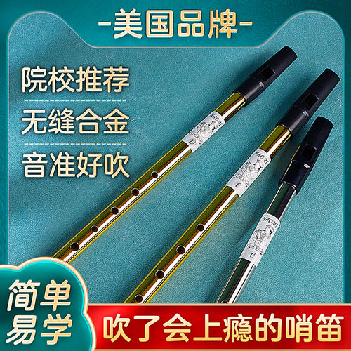 NAOMI爱尔兰哨笛C/D调可选