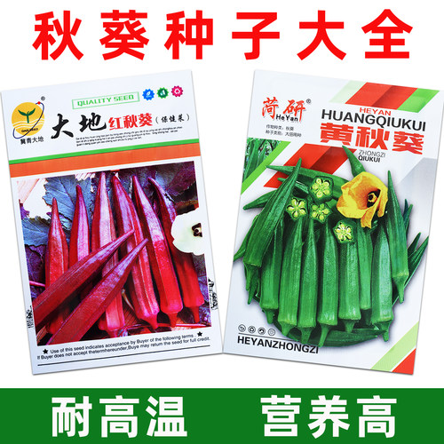 秋葵种子耐热高产营养高发芽好