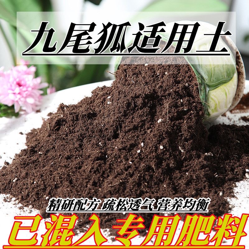 九尾狐适用土九尾狐有机营养花土蓬松透气阳台通用型土养花泥炭土