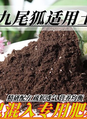 九尾狐适用土九尾狐有机营养花土蓬松透气阳台通用型土养花泥炭土