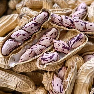 云南湿烤七彩花生带壳熟新鲜福建龙岩特产送礼佳品咸干休闲零食品