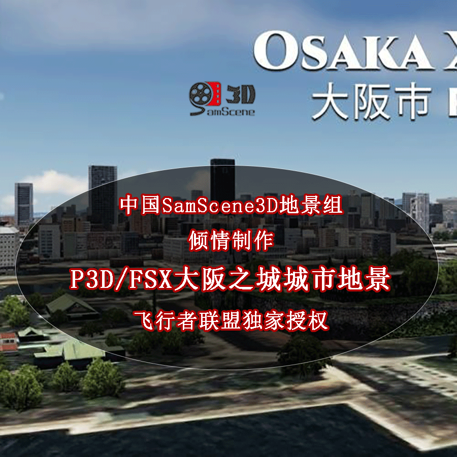模拟飞行日本大阪城市地景