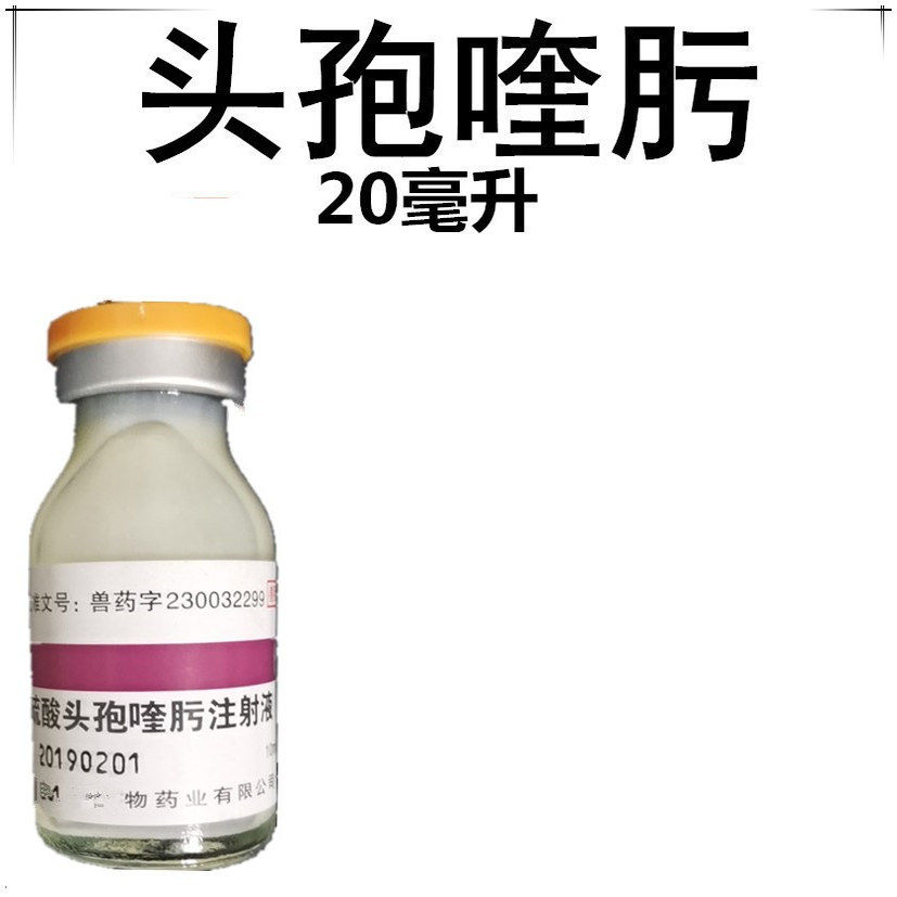 头孢喹肟猫狗宠物脓皮症窝咳肛门腺鼻支球菌杆菌肺炎产后抗菌针剂