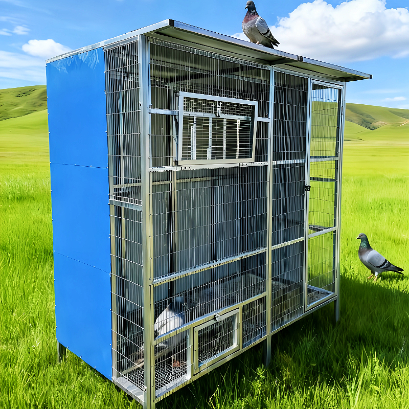 养鸽子专用笼子特大号信鸽公棚放飞笼训放笼室外防雨防鼠防黄鼠狼