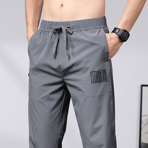 春夏薄款季男士休闲裤夏天青少年百搭冰丝宽松直筒裤子C8865-P40图片