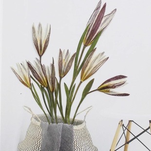 pressed flowers老鸦瓣/小百合压花干花台灯相框书签蜡烛手工材料