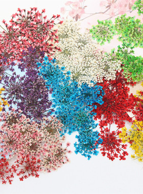滴胶干花蕾丝蕾丝花压花diy