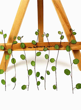 千叶吊兰压花植物标本diy手工