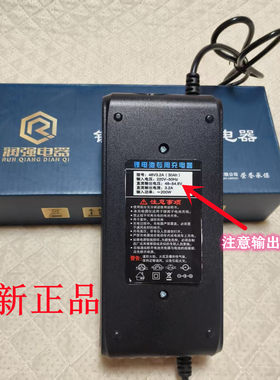 24V36V2A3A电动车锂电池充电器
