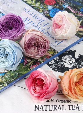 进口大地农园炫彩奥斯汀02466永生花情人节生日diy花盒玻璃罩配花